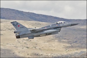 D7T_4554